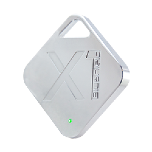X1 Pendant