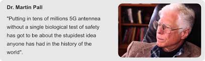 Dr. Martin Pall To The NIH: "The 5G Rollout Is Absolutely Insane."